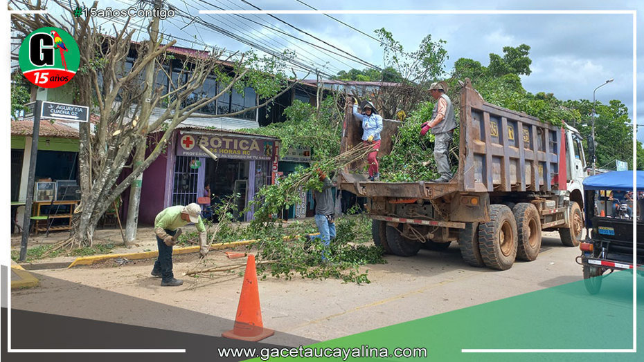 Embellecimiento de áreas verdes en Yarinacocha