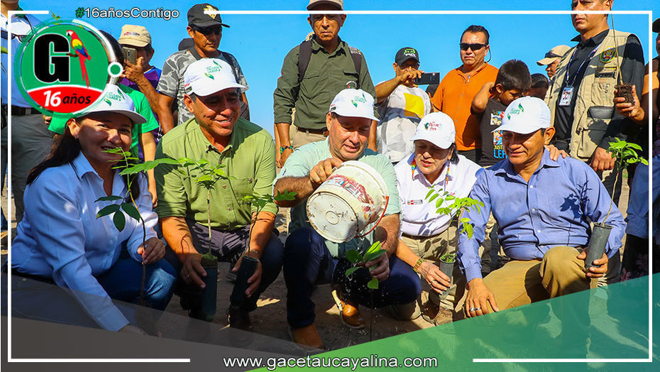 Gambini y ministra Ruiz participaron de la plantación de 1 300 árboles de shihuahuaco en Pucallpa